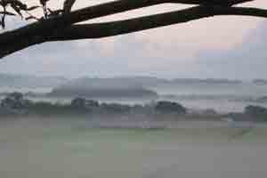 朝霧の田園